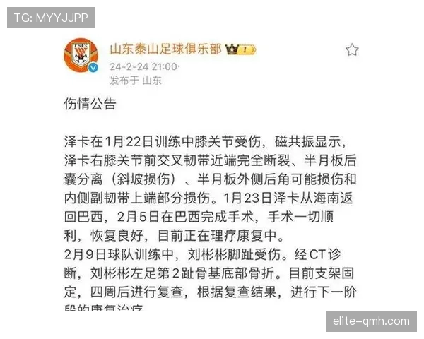 山东泰山重回巅峰前景面临考验:球队近期走势有待检验 山东泰山重回巅峰前景面临考验:球队近期走势有待检验
