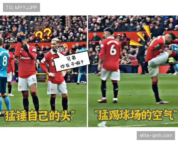 直接红牌的判罚条件与赛事规则详解